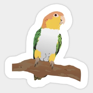 Caique Parrot Sticker